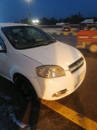 أفيو • ٢٠١١ • رقم كربلاء