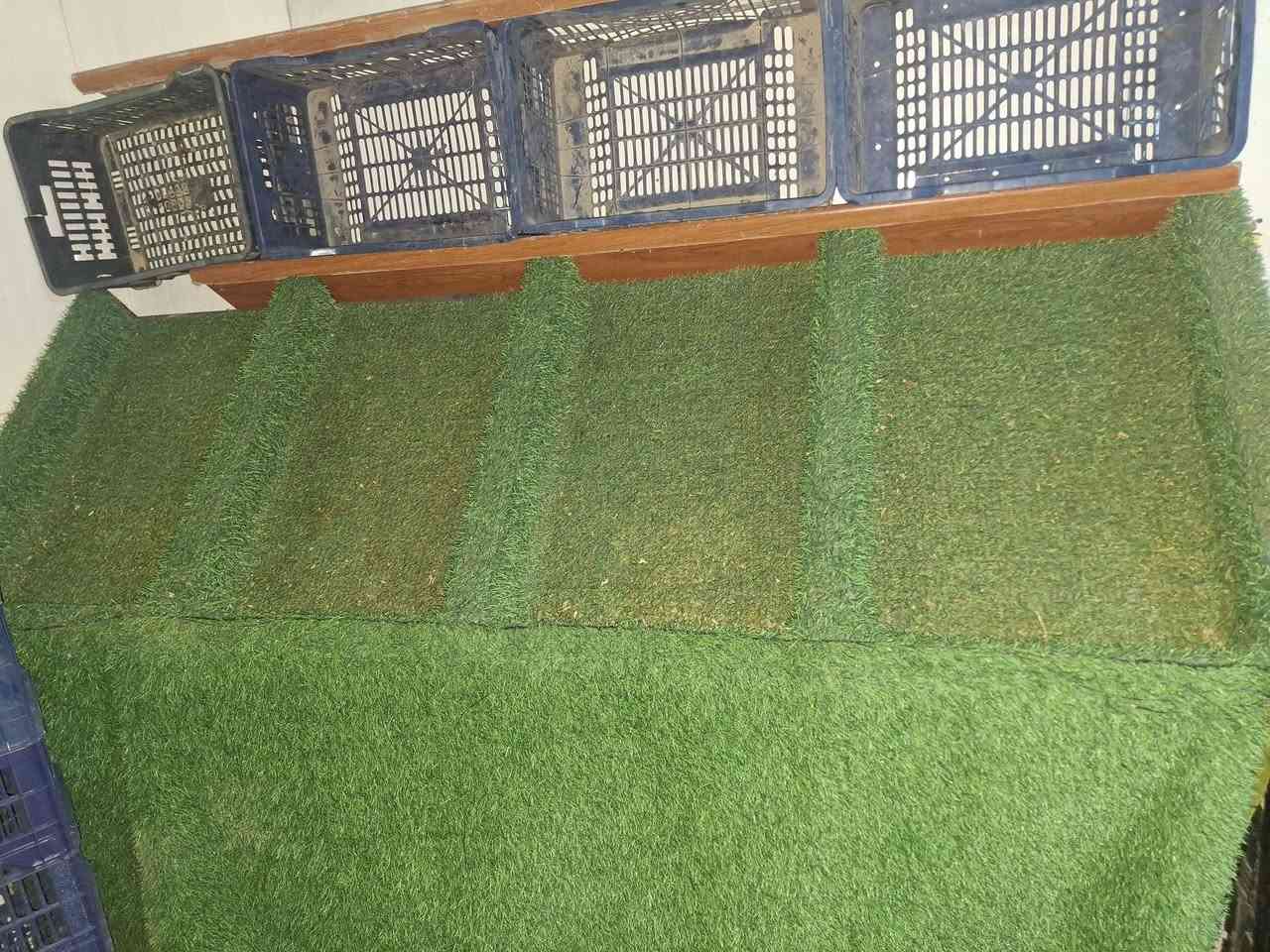 عارضات اللبيع العدد٣ ***********
