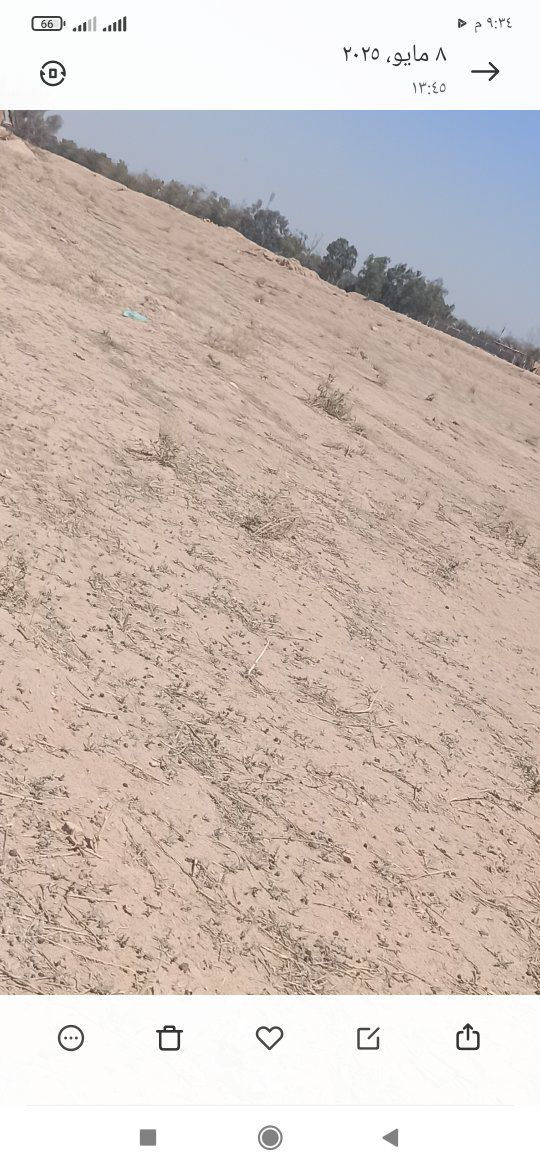 السلام عليكم 
مكلف بلنشر 
مزرعه للضمان المساحه 50دونم ضمانه مستعجله
لكاع حاليا مكروبه ترهم شراكه او ضمانه 50دونم بياره ثنين وبيتين فلاح عمود 322
عل شارع ياعلي 
للتواصل ***********
