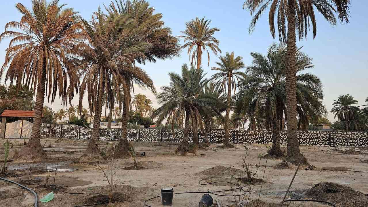 موقع مثالي في كربلاء💯
✅️دونم للبيع واجهه 30 م
وجه على التبليط مباشر 
طابو سند 25 تحويل بالطابو 

✅️الموقع كربلاء - منطقة الزبيلية
شارع ام البنين قرب فيلا العامرية 
يبعد من مركز مدينة كربلاء 9 كم 

💰السعر 250 مليون عقاري كربلاء 

📞إتصل الآن ***********
