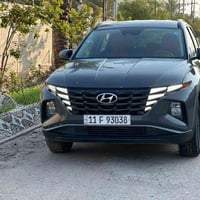 رقم بغداد • باسمي • شاصي منشور