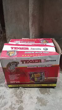 خنزيره • جديدة • سبوع