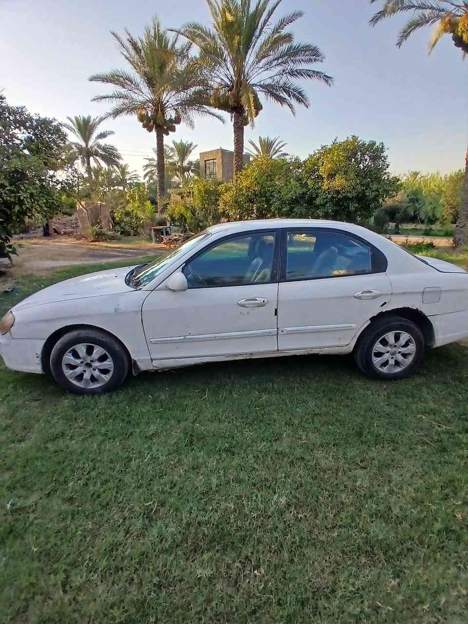 السلام عليكم
سوناتا موديل 2000 سنوية لغاية 30 مكينة جيدة كير عادي سيارة بيهة خياسات الدوسات الجوة والجنطة سيارة مال تعمير 
السعر 23 مجال بسيط جدا حك الجية  العنوان بغداد الدورة عرب جبور
***********
