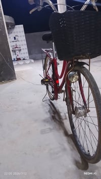 باسكل • كير • حساس