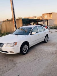 سوناته • ٢٠١٠ • ضرر خلفي