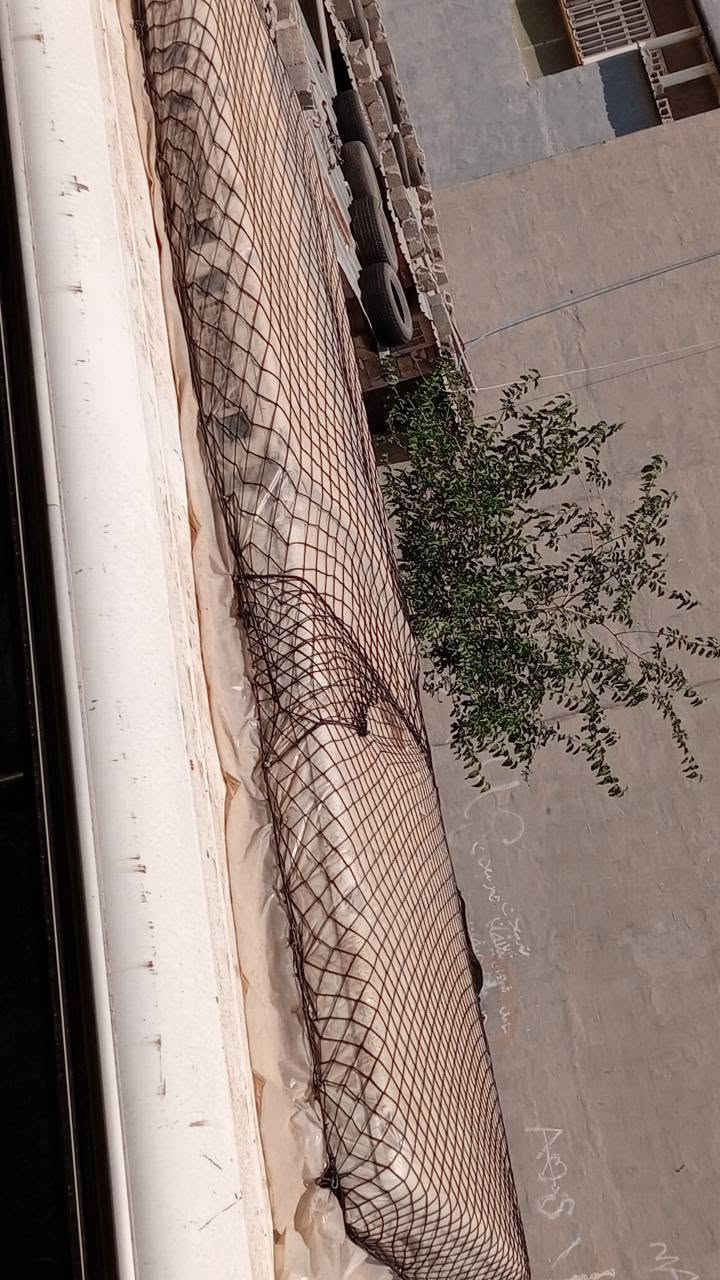 ‎بۆفرۆشتن تەبرید پاس کامل ئەشیا  بەس غازی  دەوێ کۆپلێسەری لۆک لۆکە  ئەمەش ڕەقەمی  خاوەنی ***********‎ أربيل, العراق
