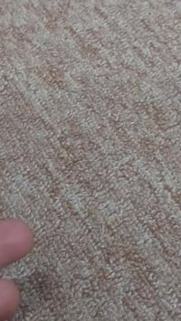 عطف سليماني