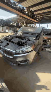 تجهيز حاوية • الامارات • للتجار