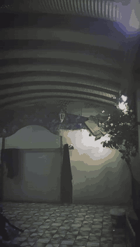 سلام عليكم
تايكر24كفاله عامه مجنبزه للبيع 

مكان ديالى بعقوبه سعر خاص ودلل

***********
