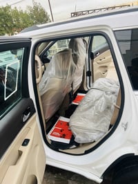 أوفرلاند • ٢٠١٩ • بدون صبغ