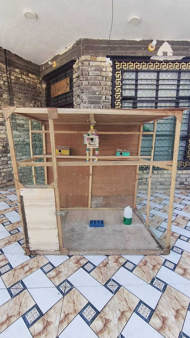 سلام عليكم  قفص للبيع هوه وغرضه وكله بس تخلي بي طيورك وهاهيه سعره 50 وبي مجال ول ميشتر لا يتعبني ‏‪0780 814 5920‬‏
