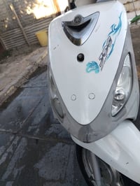 ماكس منغولي • مراوس • سبع البور