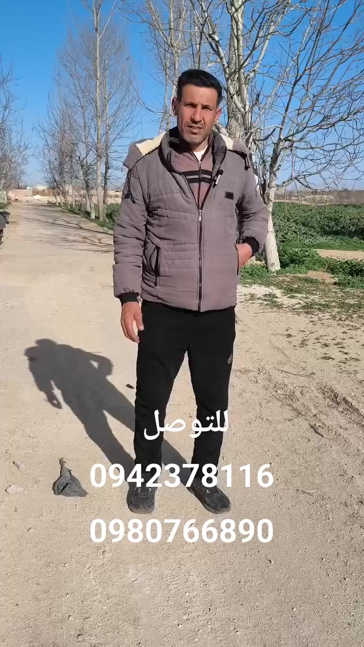 بسم الله الرحمن الرحيم
عرضنا اليوم7 دولمات✨️
         (ضع نفطة وبيصلك السعر عل مسنجر)
ملكية طابو أخضر
بيبعدو عن الشارع الرئيسي 50متر ✨️
الموقع طريق المطار الجسر الثاني مليحه
 زبدين مقابل نبع حاروش
للتواصل ☎️
#0942378116أبو_بكر 
#0980766890أبو_فهد


**إذا كنت صاحب هذا الإعلان وتريد حذفه لأي سبب، رجاءا أرسل رسالة إلى الدعم الفني**