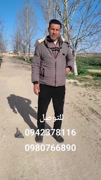 ٧ دولمات • طابو أخضر • مقابل نبع حاروش