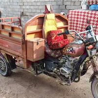 ستوته • أوراق • ٢٠١٨