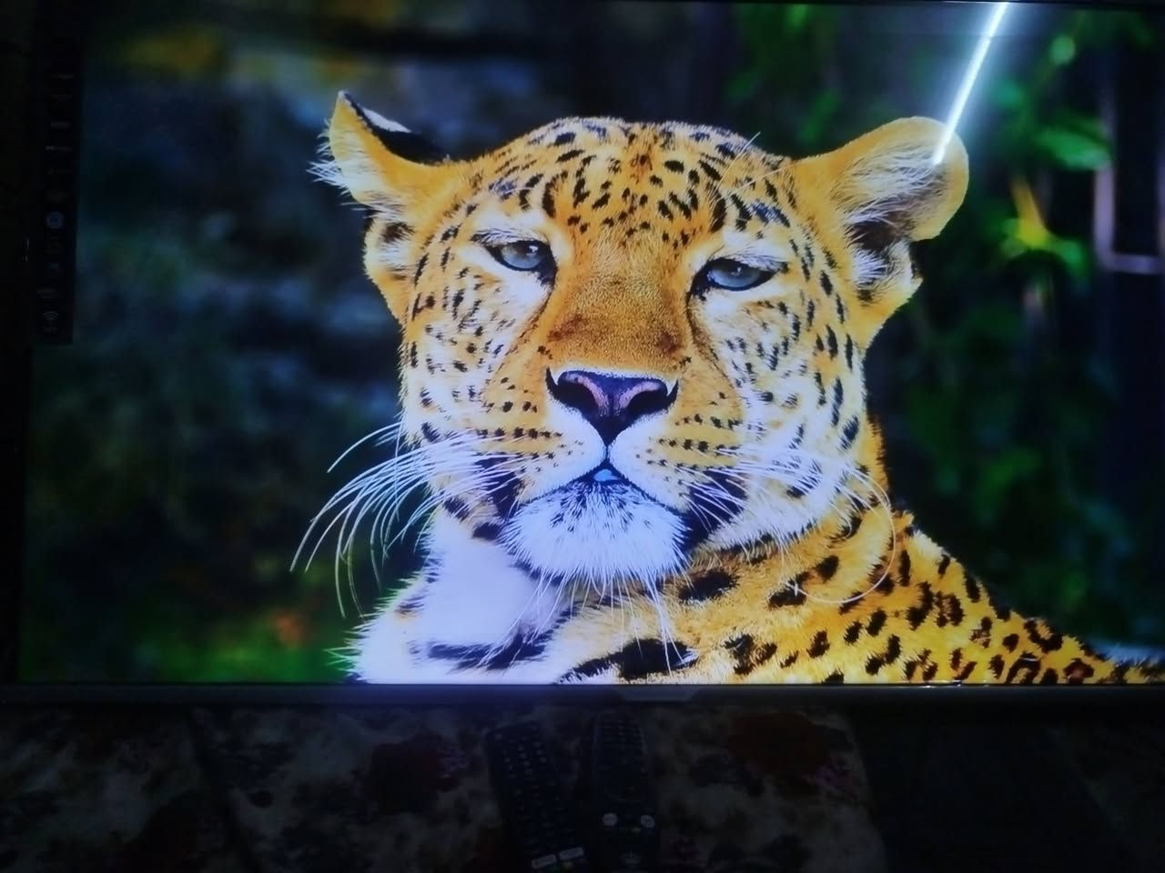 شاشه رويل الرحمان حجم 50 مستعمل قليل جوده فول والكامره حيل ضالمته شاشه ما داخله اي  تصليح جوده 5K تشغيل يوتيوب بدال 1800 تشغل 2160P60HDR سعر خاص


**إذا كنت صاحب هذا الإعلان وتريد حذفه لأي سبب، رجاءا أرسل رسالة إلى الدعم الفني**