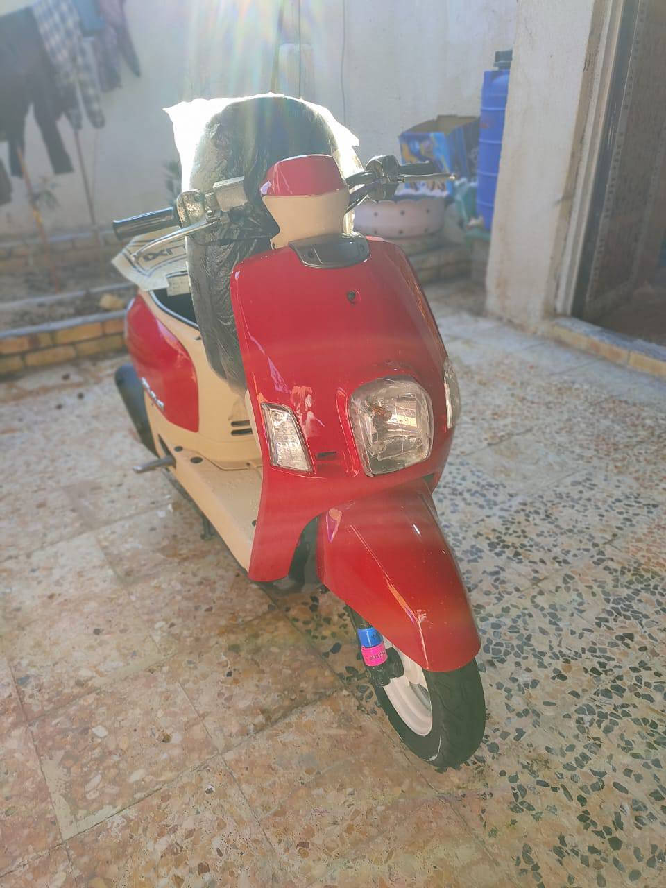 حبيب كلبي للبيع ماكس بوليسي دراجه كفاله برغي ما مفتوح بيه وكلشي شغال بس سلف عاطل  900وبيه مجال هاض رقمي بي وتساب .***********
