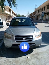 سنتافي • ٢٠٠٧ • وارد امريكي