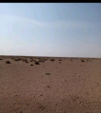 النجف الأشرف • ٣٠٠ دونم • صالحة للزراعة