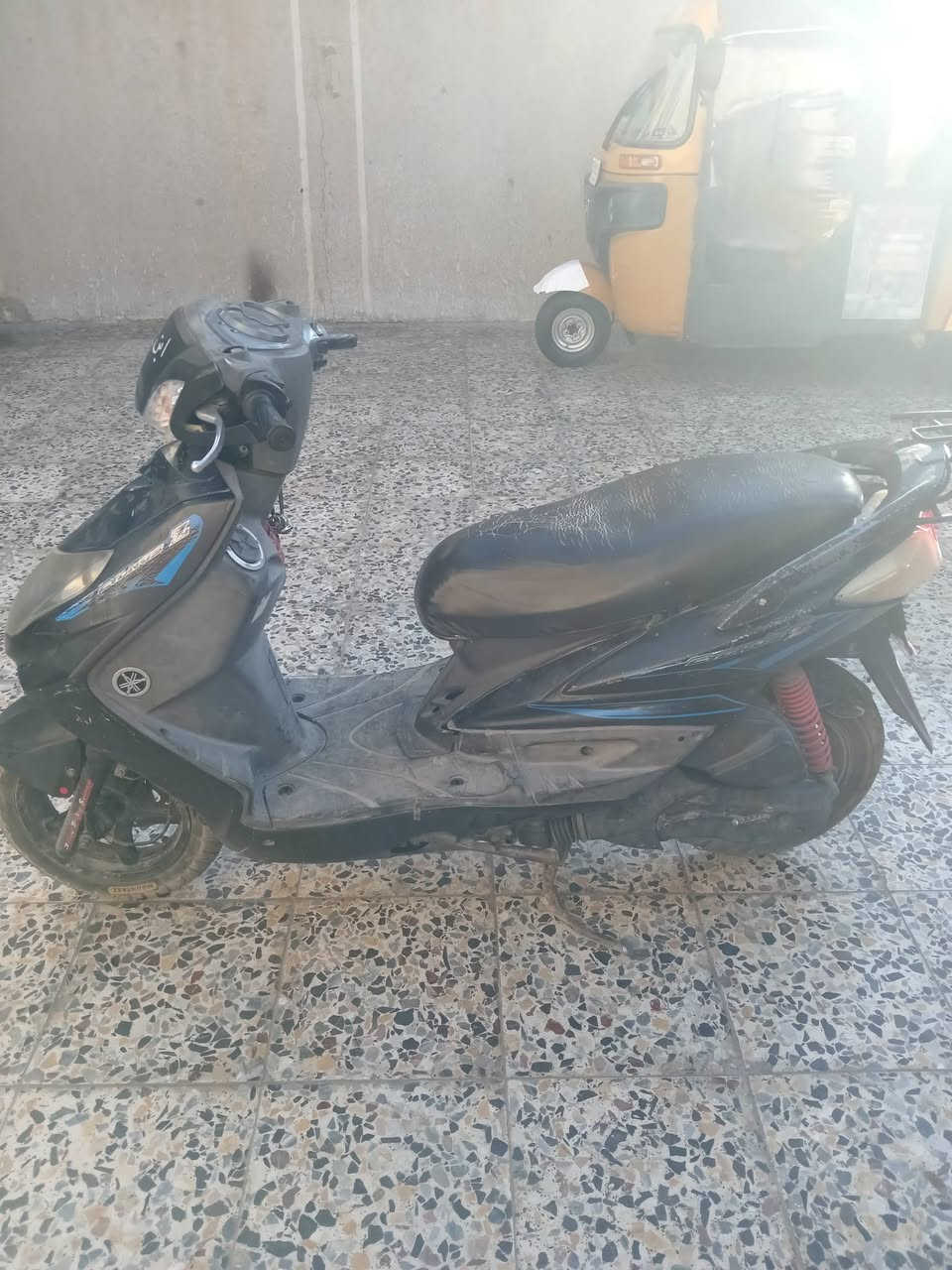 سكنس فحل للبيع الشعب قرب فلكت صباح الخياط
***********
