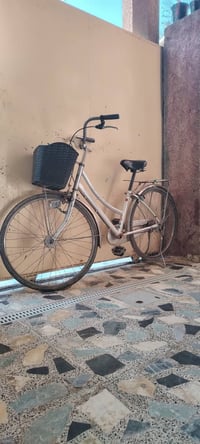 باسكل • للبيع