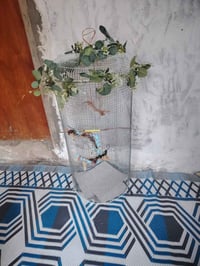 قفص للبيع سعره 10 قفل حله ابو خستاوي ٠٧٨٠٢٠٩١٠١٥