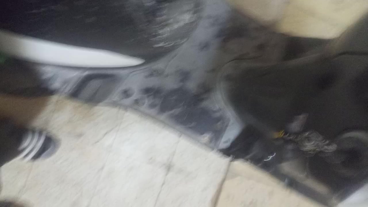 سلام عليكم سكنس نثية ياباني 110 الدراجة بيها ستان حساس وشلعة وكابريتر تجي درجة خير من اللة كهربائيات كلها تشتغل العداد مل ورن يشتغل ومل بانزين مبدل بريك خلفي جديد ومبدل كلوب امامي قوي ثلجي ومبدل شوته جديدة مبدل عداد مل رون جديد وبيها قفل سترين وصندوك ودرجة ماشية 472040 هورن عالي تشتغل سلف وهندر سعر 450 بيها مجال حك جية عنوان بغداد جميلة شارع 71 رقم *********** وتساب
