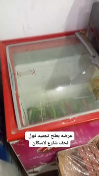 ثلاجة • تجميد ممتاز • نجف لاسكان
