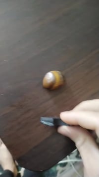 هاي تجي اقوى من عباس اباد عين الهر الاصليه شرط 07809619778 ☝️