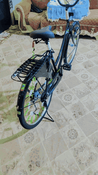 باسكل بيدي • حاويه • الاسكان الصناعي