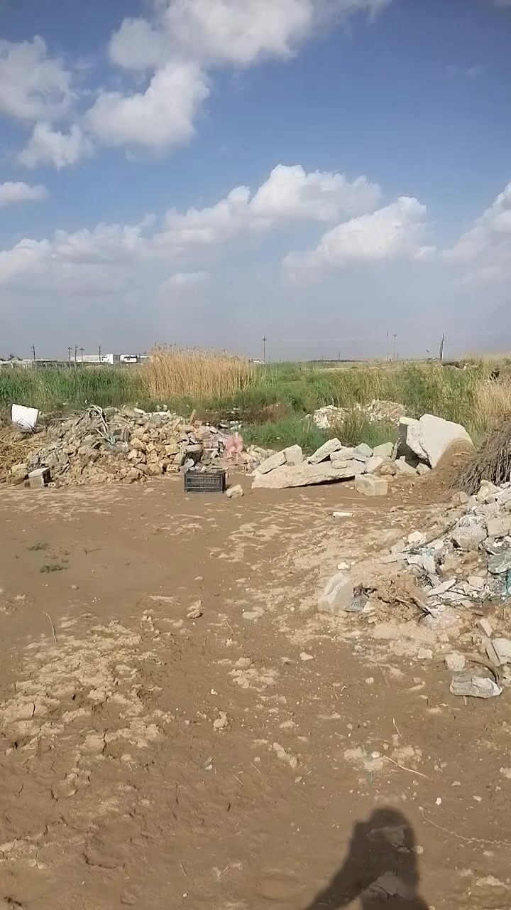 سلام عليكم
للبيــــــــــع دونم طابو ملك صرف
بغداد المدائن منطقة الجعارة قرب شارع الدعم لوجستي
وجه45×55 يبعد عن الشارع العام 700متر
يصلح سكن او مزرعه او استثمار
للاستفسار ***********
