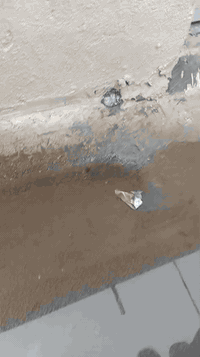 نص قطعه طابق واحد ايجار ٣٥٠ نضيفه اليريدهه راح خلي رقم دلالييه ٠٧٧٠٤٥٩...