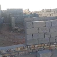 سيد حبوب • هيكل • ١٠٠م