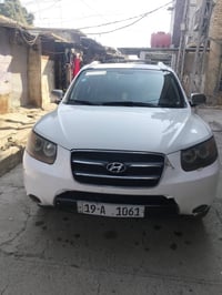 سنتافي • ٢٠٠٧ • وارد امريكي