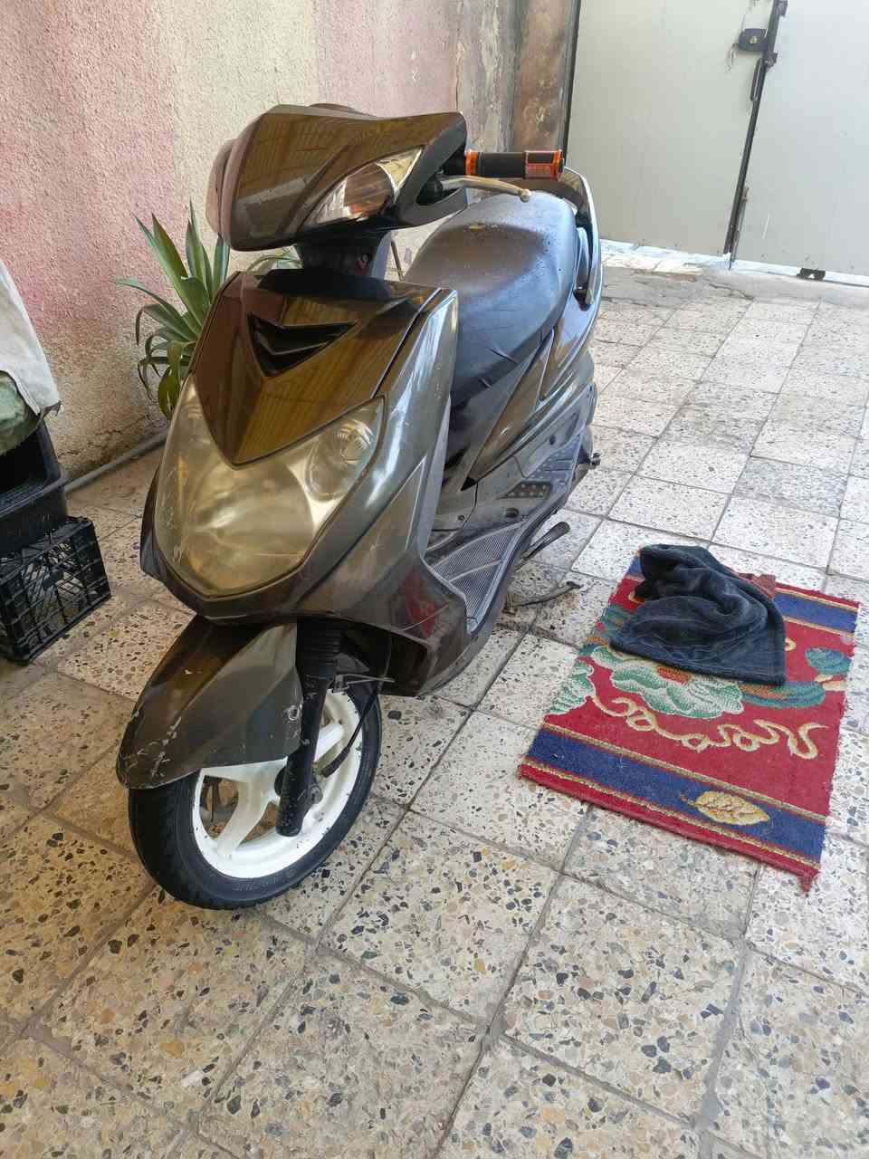 السلام عليكم
سكنس فحل للبيع الدراجة كاملة مكملة كهربائيات شغالة هندر وسلف نكرة كشرها حلو الدراجة نظيفة مسويلها ادامة للكلجات قبل يومين يعني تاخذها متصرف عليها ربع 
مكينة مفتوحة شرط لا تبخير ولا تنقيص 
السعر 500 وبيها مجال 

مكاني المحمودية تقاطع حي العدالة 
***********0 بي واتساب
