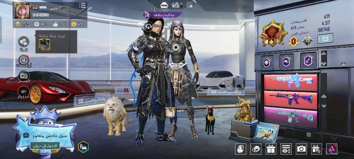 السلام عليكم حساب ببجي للبيع وجه بوجه حساب قديم نوادر لبن المجموعات 73 والسعر قفله 550 حصول على المعرفه***********
