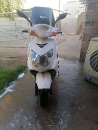 سكنس فحل للبيع بحالة الوكالة رقم راعيه مكانه البياع💙 07711855202