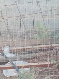 حديد • حديد للبيع • ديكور حديد • اثاث حديد