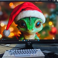 i5 جيل12 • MSI 5060 8G • شاشة ASUS 2K