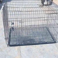 قفص حديد • ديكور منزلي