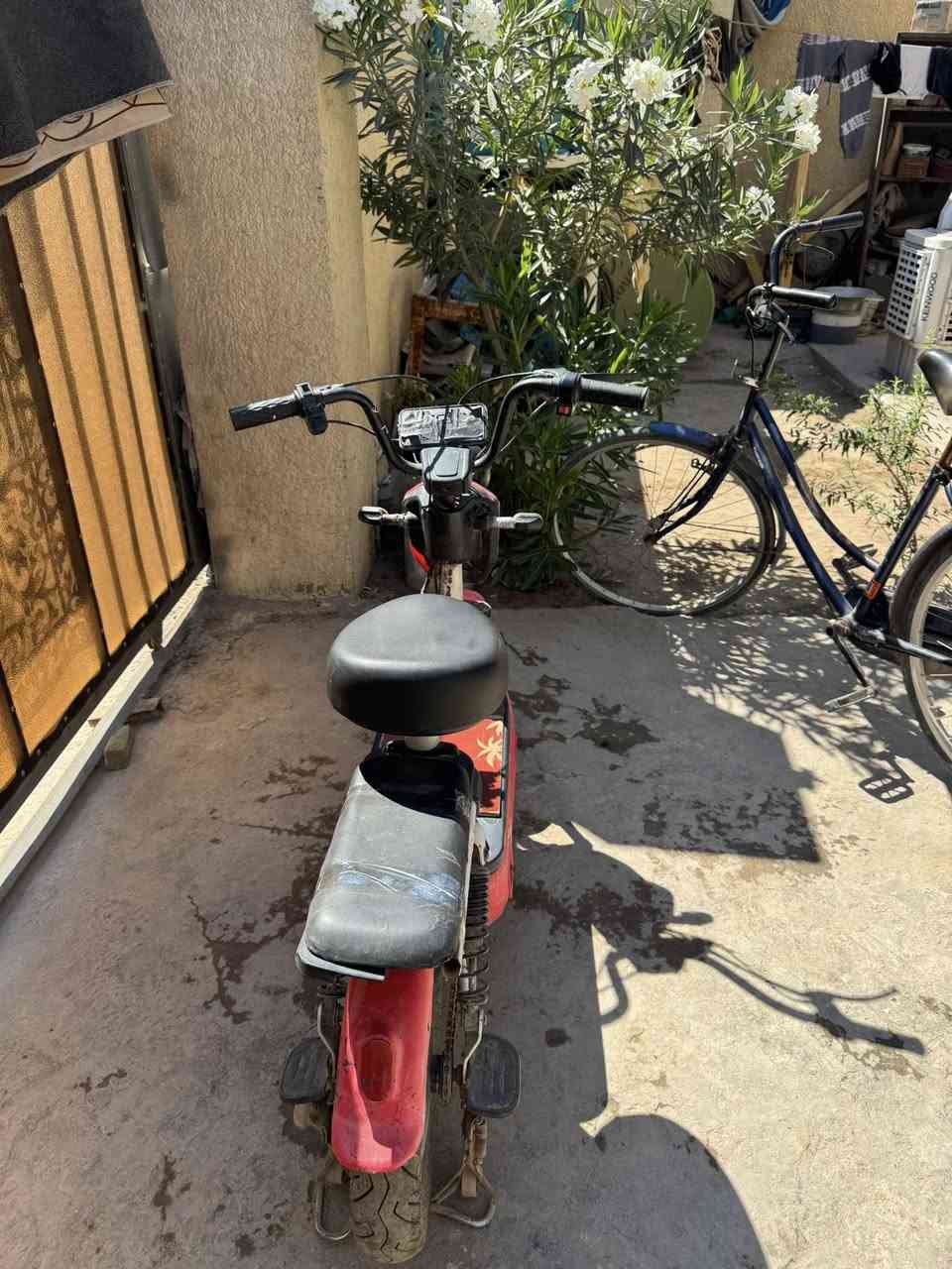 سلام عليكم دراجه شحن حجم ١٤ للبيع الدراجه كلشي مابيهة باتريات جدد فقط طلع كلوب بل شاشه وكامت متمشي السعر 75 ألف وبيهة مجال ***********
