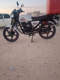 دايوان سولنك • موديل 2024 • بدون اوراق