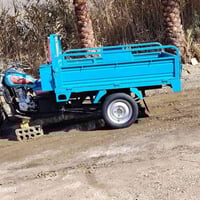 توك توك • موديل 22 • أوراق أصلية