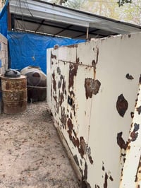 كمنز أمريكي للبيع 4 بستم راس التوليد 37  كيفي  العنوان بغداد ابو غريب ...