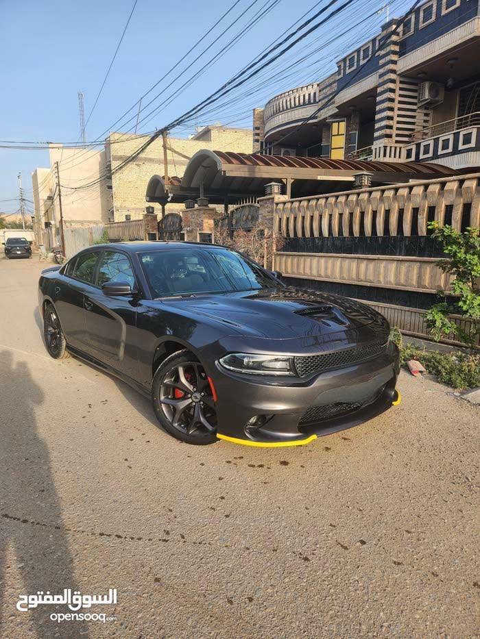 السلام عليكم
دوج جارجر ٢٠١٩ جي تي اصل 
محر ٣٦٠٠ 
لون رصاصي فيلي
الحادث جدأ خفيف بدون صبغ بدون ايرباك
من الخلف دعاميه خلفيه من الاسفل وحتى الدعاميه ما مصبوغه بيه بارد الهلال مال الجاملغ الايمن والايسر فقط ومثل ما موضح ب الصور صبغ جوه المسطره الخلفيه واسفل الدعاميه الاماميه فقط بدون فتح الدعاميه شرط الفحص
السياره جاهزه من كل شي ومواصفات الجي تي معروفه
١-كت كامل srtمن الشركه تجي
٢-شاشه كبيره + نضام سماعات الباين 
٣-كشنات حضن+كرسي السائق كهرباء
٤-ويل كب ٢٠ تو سايز+تخم تاير جديد
٥-لايت زنون عالي ناصي +والبلوجكترات
٦-دكمه سوبر تراك+شفتات ستيرن
والمواصفات الباقيه معروفه من حساس تاير وكامرا والمواصفات الباقيه وابشنات الشاشه.....
السياره جاهزه من كلشي كير ومحرك وكهربائيات 
ادامه كامله للمحرك بلكات ونوزلات وفلاتر قبل شهر سويتله ادامه كامله بانزين كله سوبر ادير السياره ماشيه ٥٤ الف ميل
مغلف القماره والبنيد ونص الجاملغات الاماميه وحتى المازدات الاماميه ppfابو الضمان وعندي سونار قبل وبعد ال ppfوالسونار موجد وين يعجبك افحص 
السياره رقم بغداد الجديد بسمي ثاني يوم التحويل
السعر اتصال 
السياره موجود بغداد شهداء البياع 
***********
ابو حيدر
