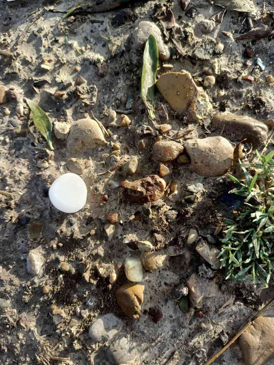 حجر الماس السداسي


**إذا كنت صاحب هذا الإعلان وتريد حذفه لأي سبب، رجاءا أرسل رسالة إلى الدعم الفني**