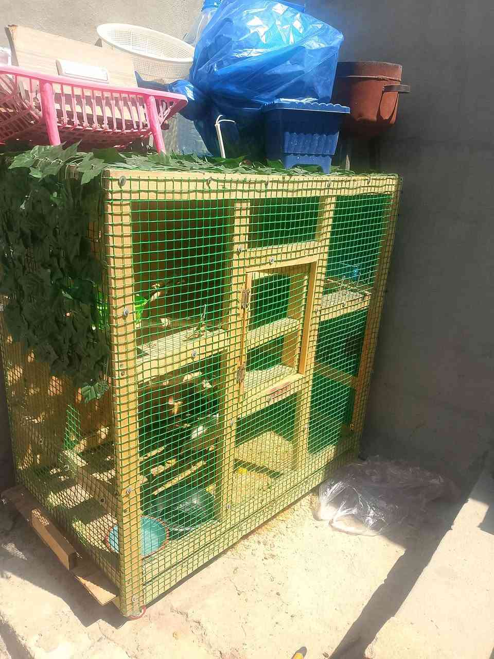 قفس للبیع سعر 45 الف مکانی بنجی علی قیاس متر فی متر طایاطـ جواهە و جرارە تکدر تنضفهە عرض 60 سنتم ... #خیاڵی ***********
