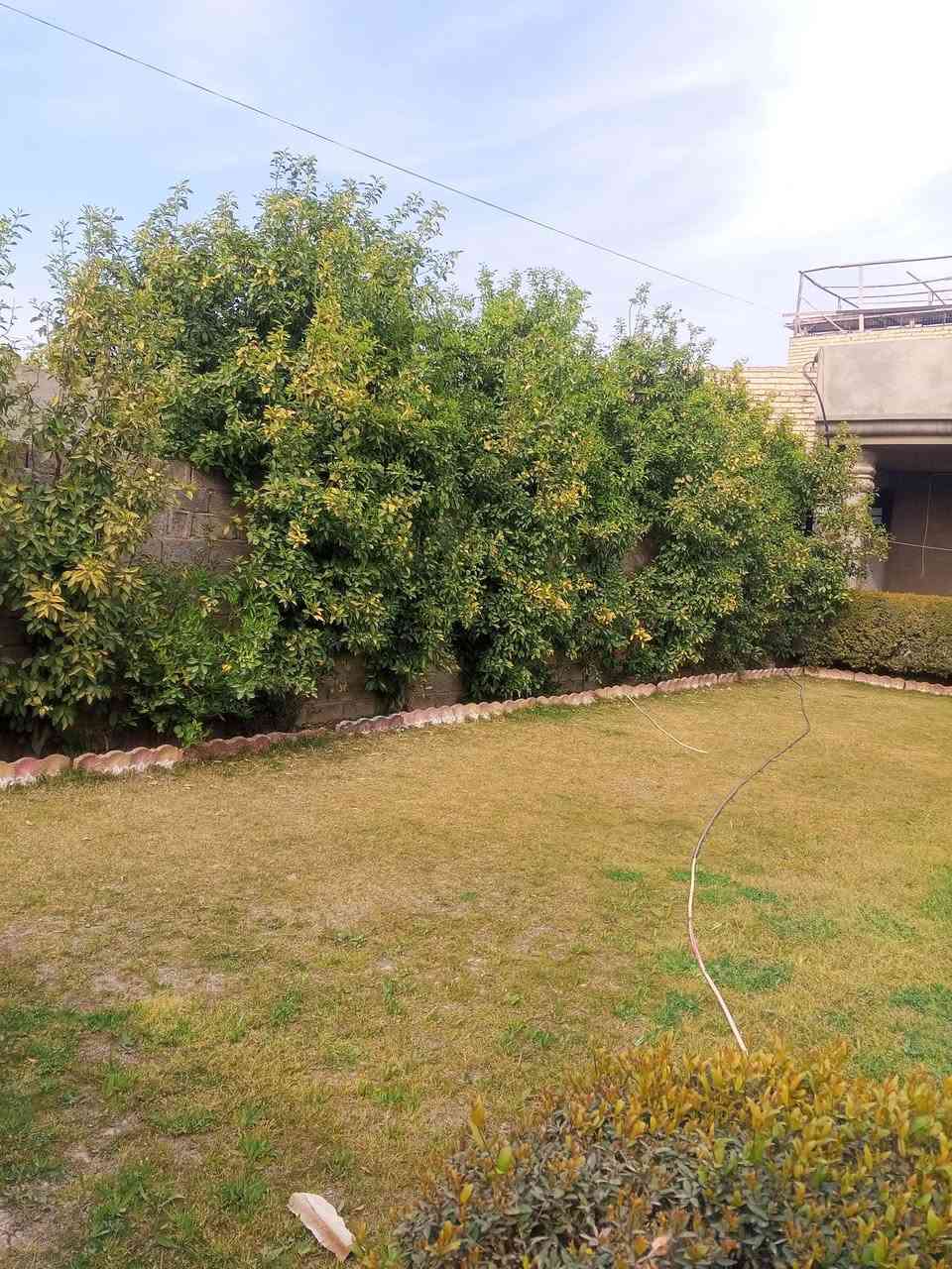 السلام عليكم 
دار للايجار. 500م. هو رجب مجاور السوق 
ايجاره 500. الف.  
للاستفسار ***********
