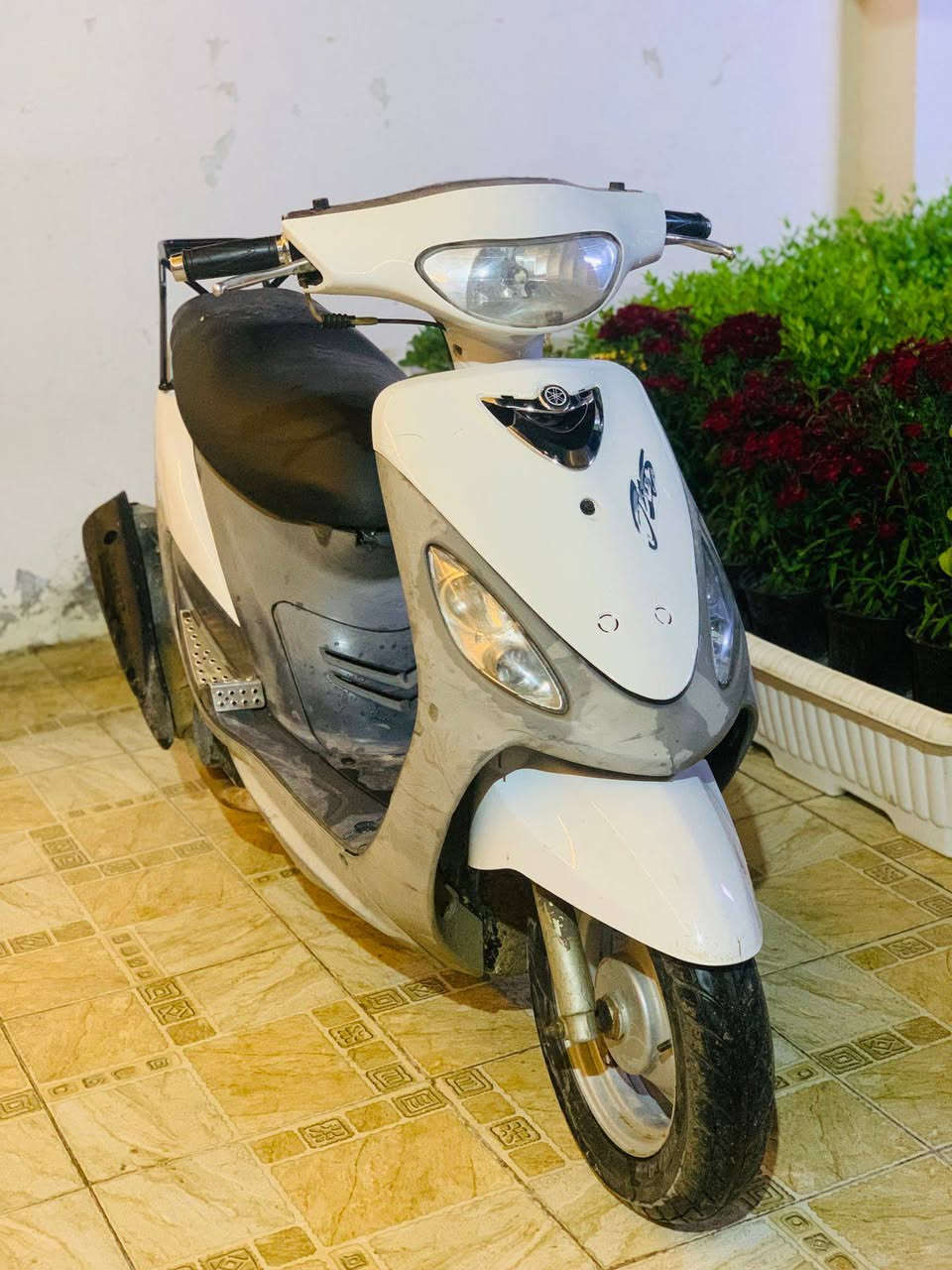 ماكس منغولي بلادي49
السعر/450 وبيها مجال 
حله مركز 
***********
