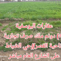ناحية القصر • حي الضباط • ٥